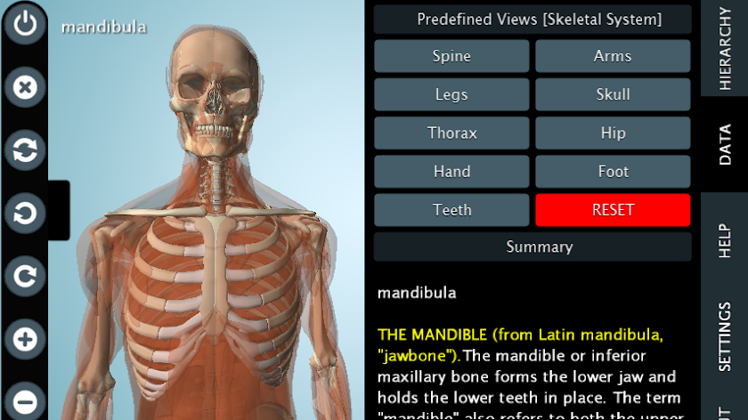 Female Anatomy 3D - Anatronica Screen 3