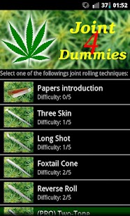 Joint 4 Dummies