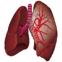Ausculta Pulmonar logo