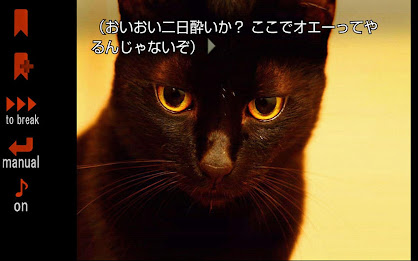 暁のメイデン poster 19