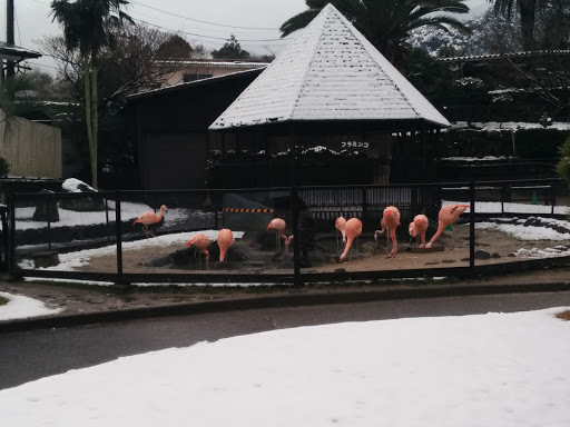 Flamingo Pen at Mountain Hell