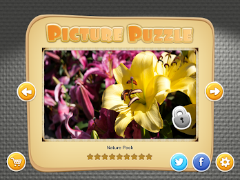 Picture Puzzle by Orbital Nine Games poster 10