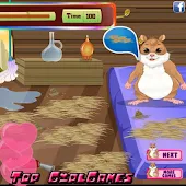 Lucu Hamster - Merawat Pet