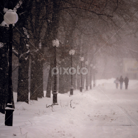 Winter by Radu Alexandra - City,  Street & Park Street Scenes