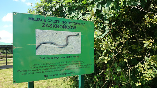 Miejsce Częstego Bytowania Zaskroncow 