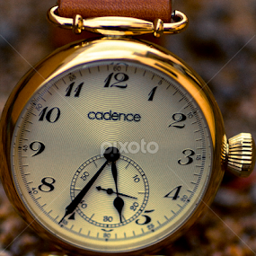 From Time Immemorial.... by Madhujith Venkatakrishna - Artistic Objects Other Objects