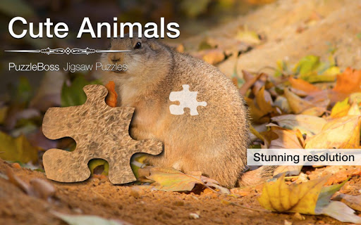 Cute Animal Jigsaw Puzzles