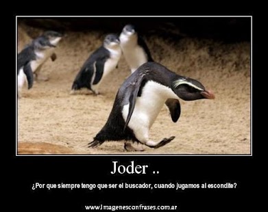 Lastest fotos graciosas APK
