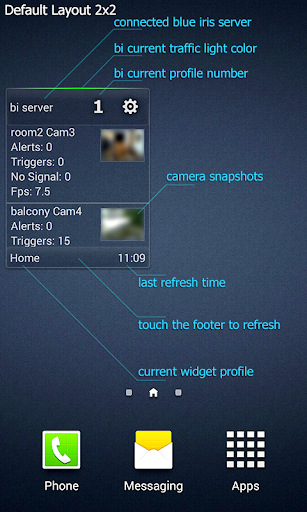 Blue Iris Widget