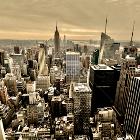 Golden City by Carlos Casillas - Buildings & Architecture Public & Historical