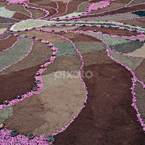 Unity by Arvind Akki - Abstract Patterns