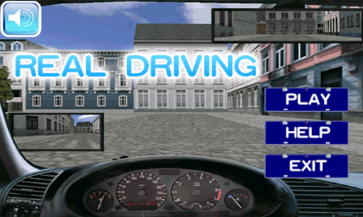 Real Driving