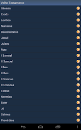 Portuguese Holy Bible poster 12