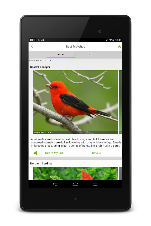 Merlin Bird ID by Cornell Lab of Ornithology Android Apps on Google Play