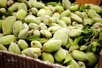 Fresh Almond Salad