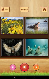 download Belajar bahasa inggris free