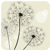 Launcher 8 theme:Dandelions