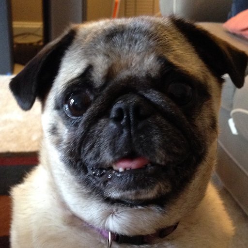 Book Your Appointment with Knoxville Nanny