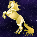 Memory Match Game Magic Horses Apk