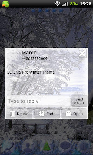 Winter Theme for GO SMS Pro