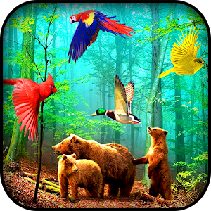 Forest Birds Live Wallpaper.apk 1.01