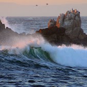 Free Coastline Collection