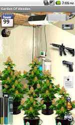 Garden Of Weeden