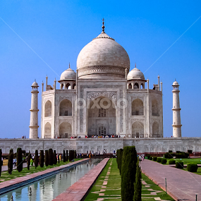 Taj Mahal by Lori Louderback - Buildings & Architecture Public & Historical