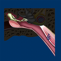 Middle Ear ID APK صورة الغلاف