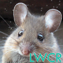 Cute Mouse Live Wallpaper icon