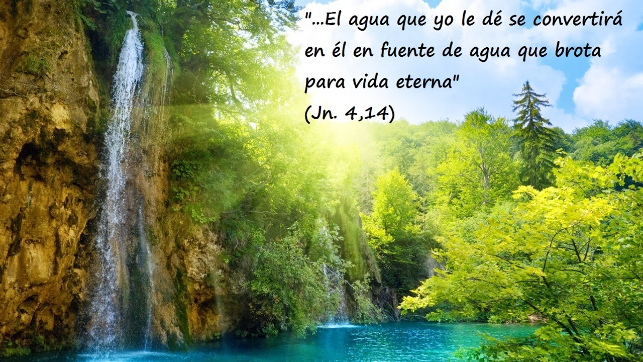 Ver las imágenes de origen