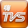 HiTVS logo
