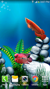 How to install Arowana Fish 3D Live Wallpaper 1.0.5 unlimited apk for laptop