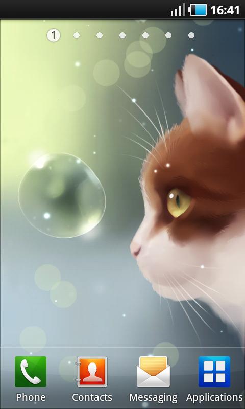 Curious Cat Screen 2