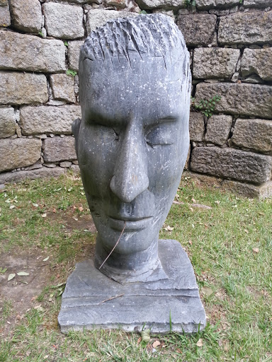 Cara de Pedra - Stone Face 201