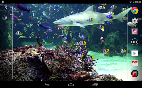 Lastest Aquarium live wallpaper APK for Android