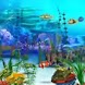 Sea Bed Full Of Fishes