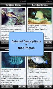 Marine Fish Encyclopedia