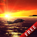 Dolphin Amber Free logo
