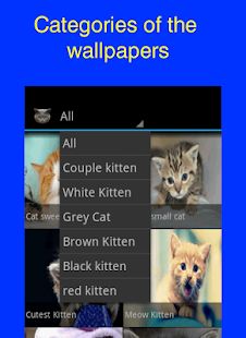 How to install Kitten Wallpapers 1.0.1 unlimited apk for bluestacks