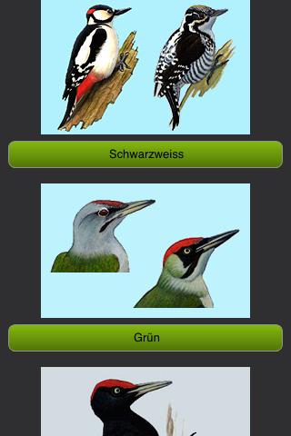 Die Vögel Europas Screen 3