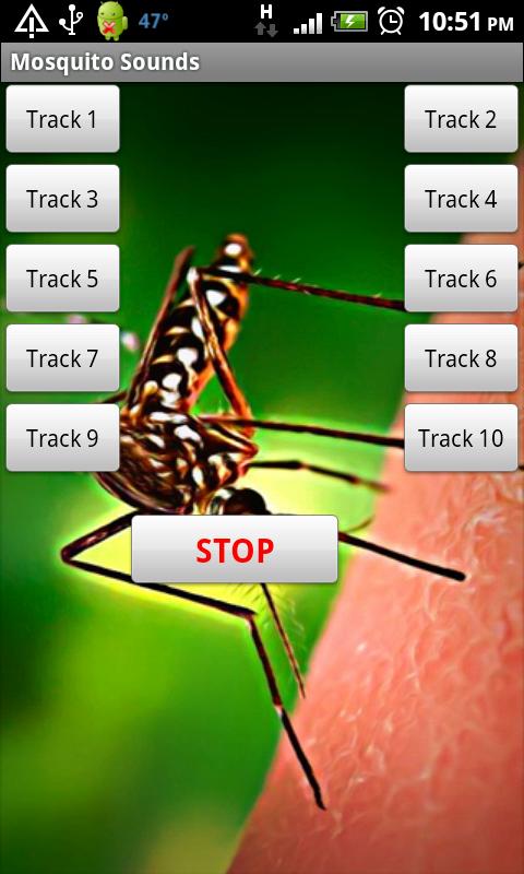 Mosquito Sound Effects Screen 2