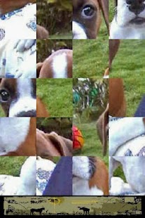 How to install Dog Puzzle: Boxer patch 3.0.1.0 apk for pc