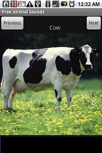 How to install Free Animal Sounds 1.0 mod apk for laptop