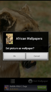 Download African Wallpapers:Wildlife 1 APK
