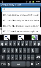 Gray's Anatomy Visual