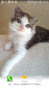 elegance cat wallpaper Screenshots 1