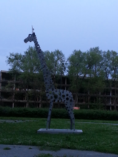 Biennale 1968 - Żyrafa