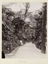 Straatgezicht in een park