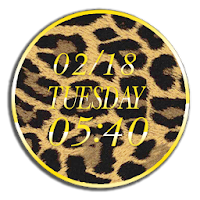 韓国 ヒョウ柄のライブ壁紙 時計 ダウンロード 売上ランキング推移 Androidアプリ Applion